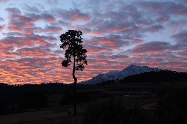 rojo amanecer