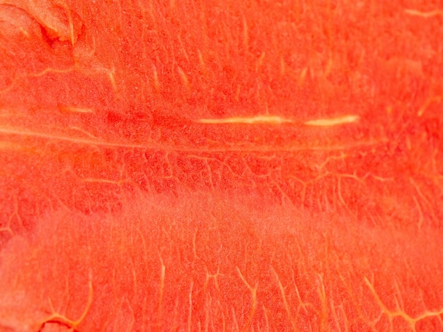 Foto rojo, rosa, naranja, patrón de textura de gradiente, fondo abstracto, papel pintado vacío, arte en blanco, malvavisco fr