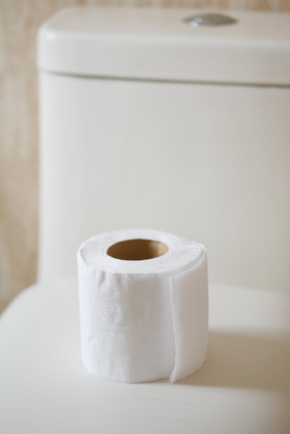 Rolle Toilettenpapier in der Toilette