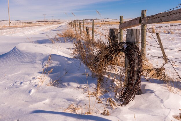 Rollo de alambre de púas parcialmente cubierto en la nieve con un poste