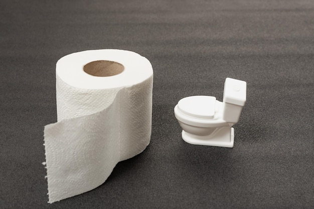 Foto rollo de papel higiénico blanco y un pequeño inodoro de juguete sobre fondo gris papel higiénico reciclado ecológico