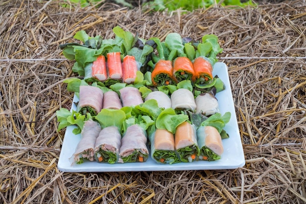 Rollos de ensalada hoja de roble verde y rojo orgánico con variedad de relleno de carne en plato en plantación