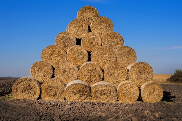 Rollos de pacas de paja o heno para el invierno en forma de pirámide