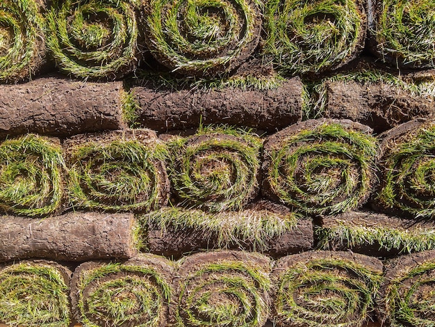 Rollrasen für die Stadtbegrünung bereit zum Stapeln von Rollrasen Naturrasen