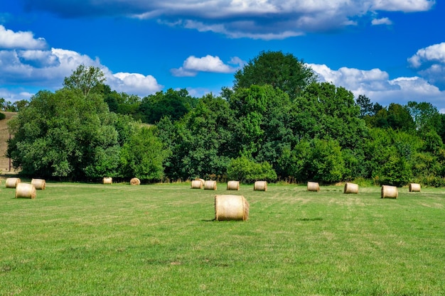 Rolls Heuhaufen Stroh auf dem Feld Weizenernte Ländliches Feld mit Heuballen Landschaft