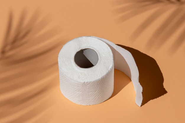 Rolo de papel higiênico branco isolado em um fundo de cor de areia sob a sombra de uma palmeira