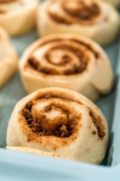 Rolos de canela