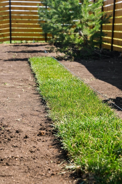 Rolos de grama no dia ensolarado casa de campo e paisagismo