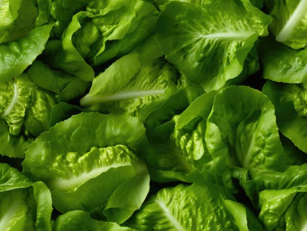 Romaine-Hintergrund als nahtlose generative Kachel-KI