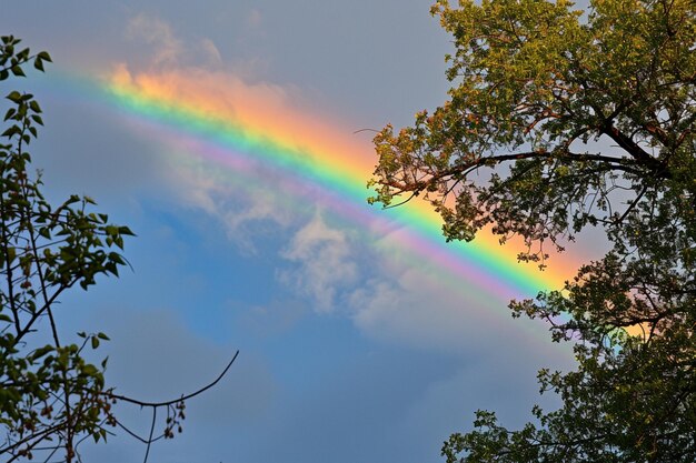 Romance em Rainbows Primavera dia dos namorados