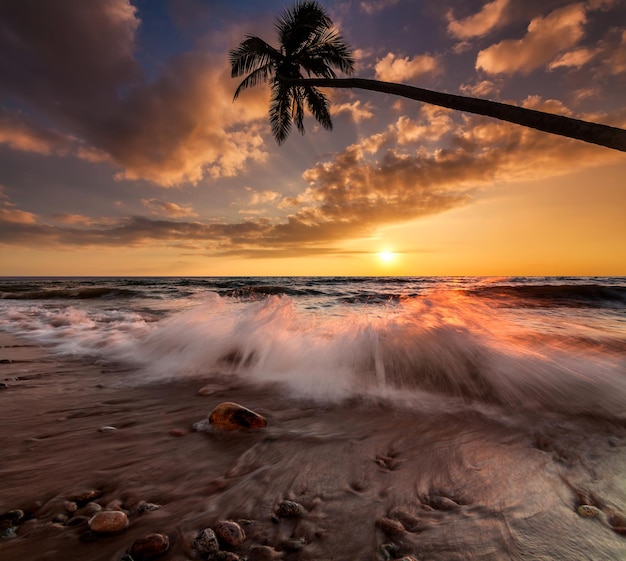 Romántica puesta de sol en una playa tropical con palmeras