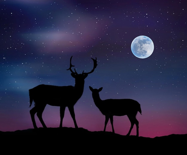 Romántico ciervo bajo el cielo iluminado por la luna
