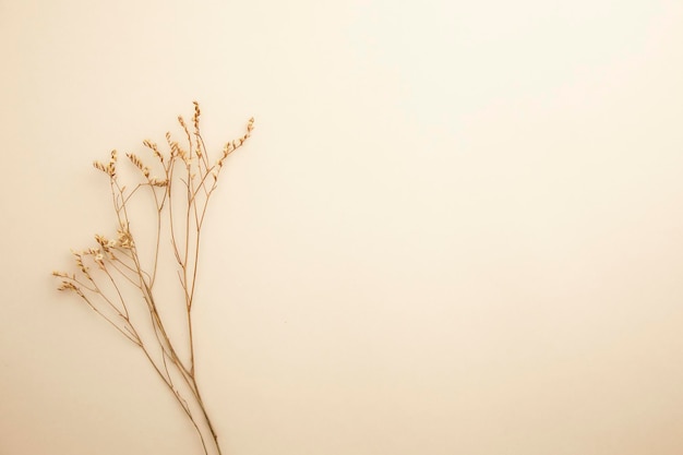 Foto romantische trockenblumen auf festem hintergrund