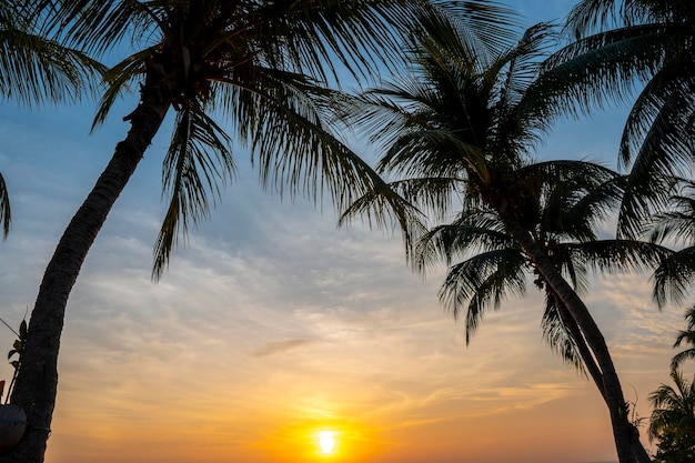 Romantischer Sonnenuntergang mit Palmen am Strand