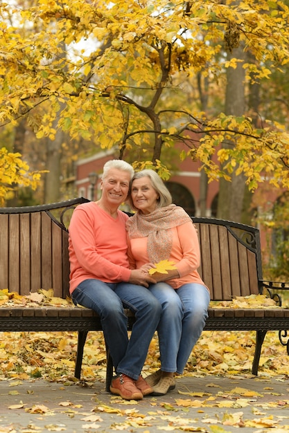 Romantisches älteres Paar, das im Herbst im Park sitzt