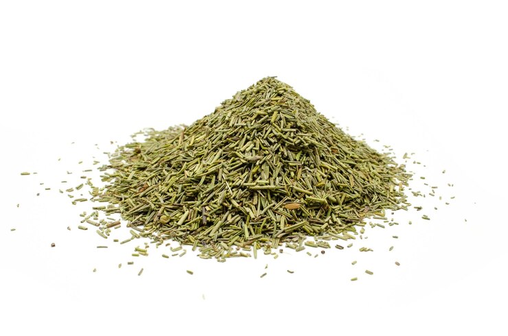 Romero aislado seco sobre fondo blanco (Salvia rosmarinus)