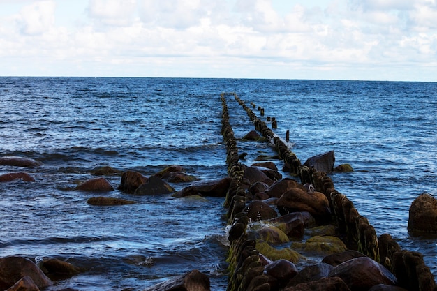 Rompeolas en el mar Báltico. Barrera para olas fabricada en madera. Costa