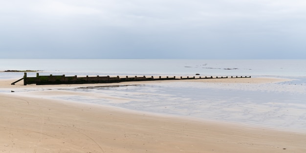 Rompeolas de postes de fila de madera en la costa del mar