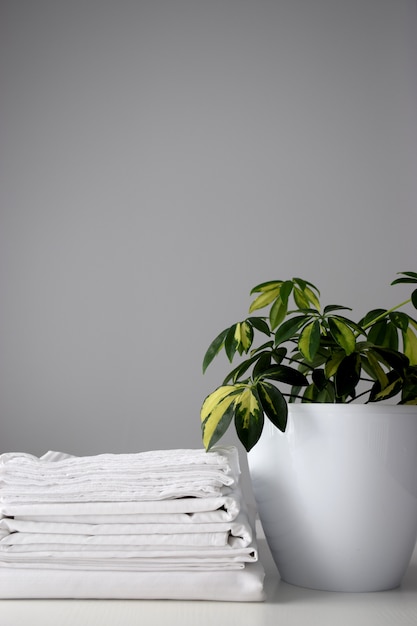 Ropa de cama a rayas blancas y planta de interior en una maceta blanca