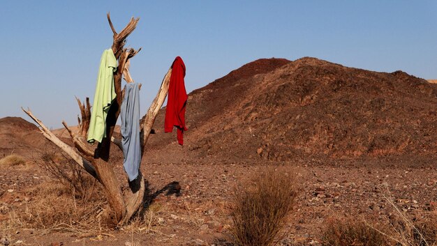 Foto ropa multicolor en el desierto