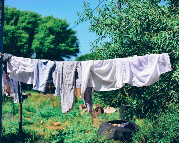 Foto la ropa se seca en el campo cubierto de hierba.