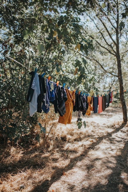 Ropa secándose en la cuerda de la ropa contra los árboles