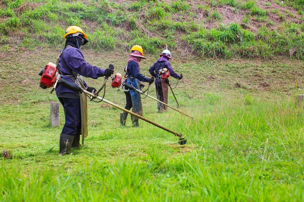 Ropa de trabajo femenina ropa protectora corta el césped con una cortadora de césped