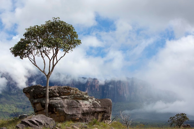 Roraima Tepui o montaña de la mesa en Canaima Venezuela