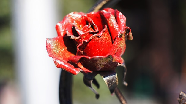 Foto una rosa de acero.