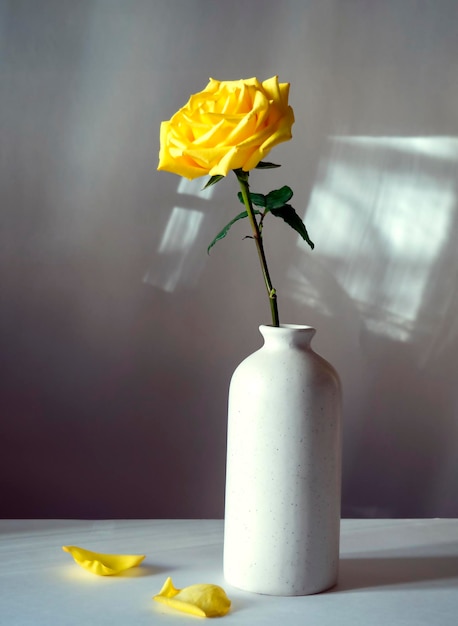 Rosa amarilla en un florero bodegón