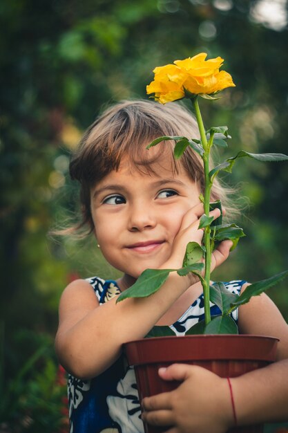 Rosa amarilla joven jardinero