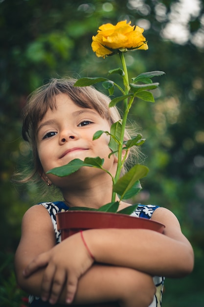 Foto rosa amarilla joven jardinero