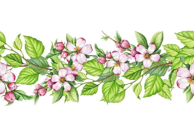 Rosa Apfelbaum Blume grüne Blätter nahtlose Grenze Aquarell florale Illustration