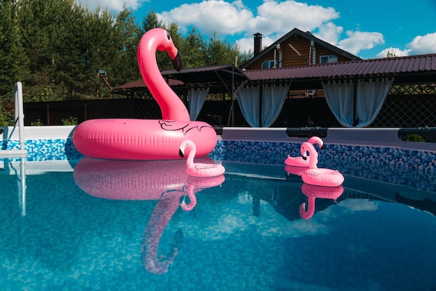 Rosa aufblasbarer Flamingo im Pool