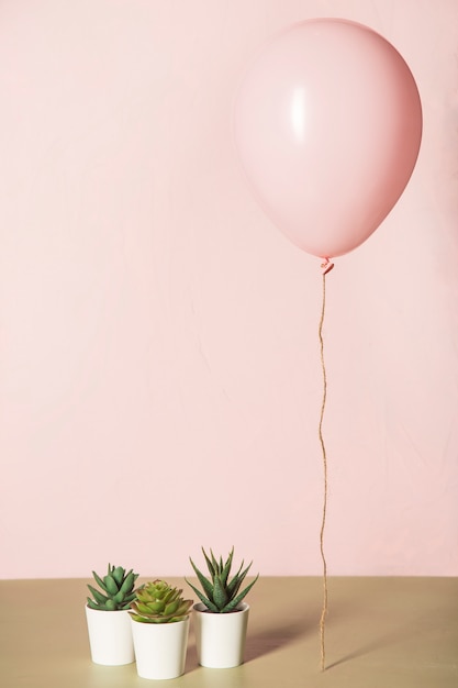 Foto rosa ballon und kaktus