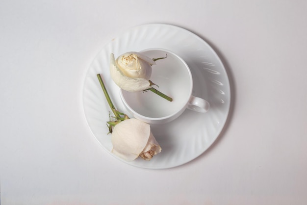 Foto rosa blanca en un plato blanco con una taza de café