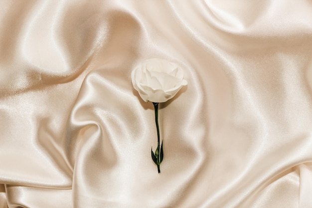 Rosa blanca sobre un espacio de fondo beige seda para texto