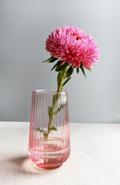 Foto rosa blume in einer vase blüte im wasser