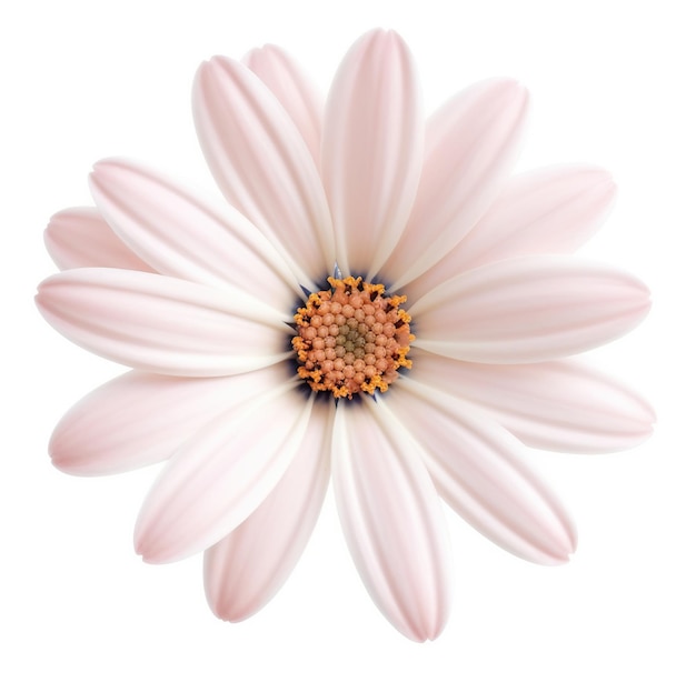 Rosa Blume isoliert auf weißem oder transparenten Hintergrund AI Generiertes Bild