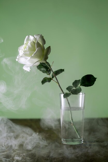 Rosa branca em um vaso de vidro transparente em uma mesa de madeira escura sobre fundo verde