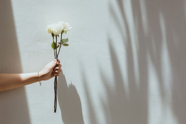 Rosa branca em uma mão com parede de concreto cinza com sombras