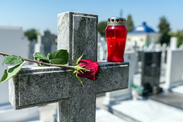 Rosa en un cementerio con lápida.