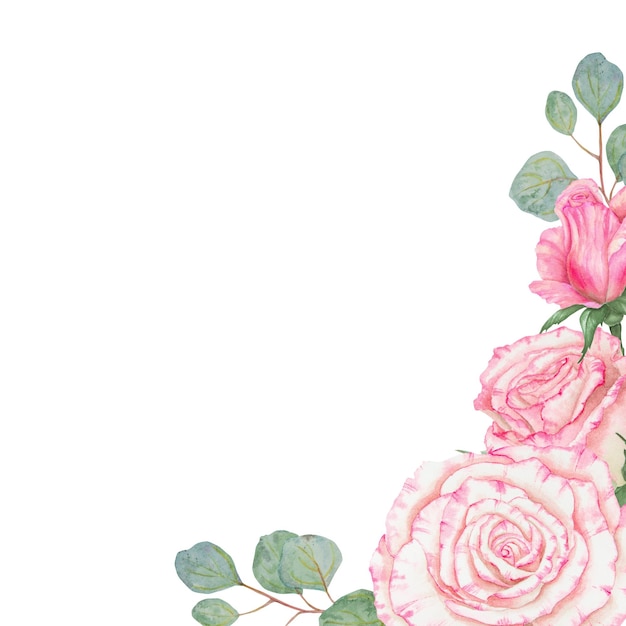 Rosa claro y eucalipto acuarela ilustración botánica dibujada a mano clipart cortado y