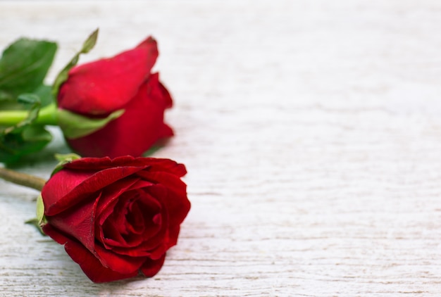 Rosa do vermelho em um branco de madeira com espaço da cópia.