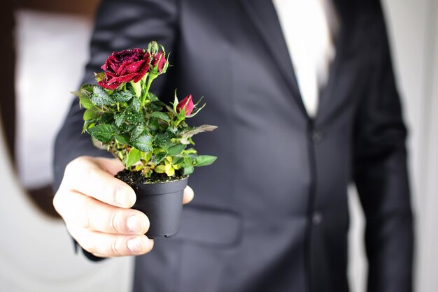 Foto rosa em terno de homem de mão