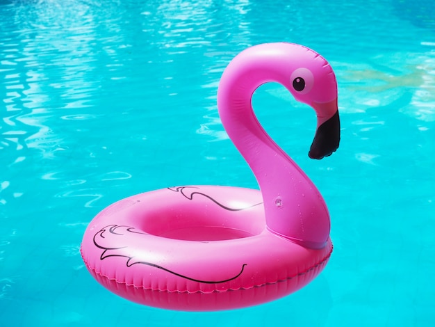 Rosa Flamingo, der in Swimmingpool schwimmt