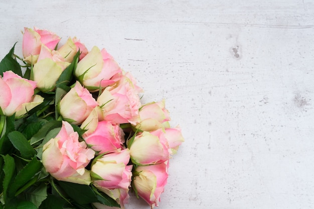 Rosa frische Blumen auf hölzernem Hintergrund