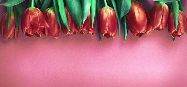 Rosa frische Blumen Tulpen Hintergrund mit Kopierbereich Romantische Komposition Flache Ansicht von oben