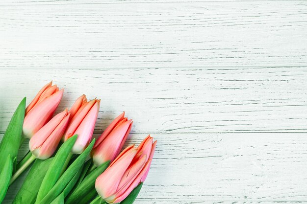 Rosa Frühlingstulpen auf einem Hintergrund von weißen Brettern. Platz für Text.