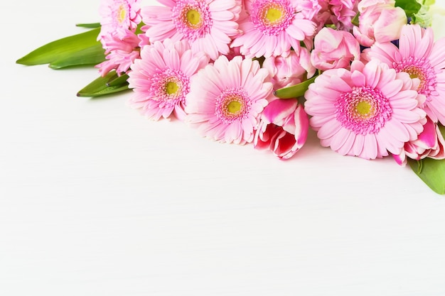 Rosa Gänseblümchen-Gerbera-Blumen auf weißem Hintergrund Urlaub Hintergrund Kopie Raum selektiven Fokus